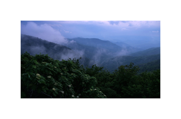 Blue Ridge Mist