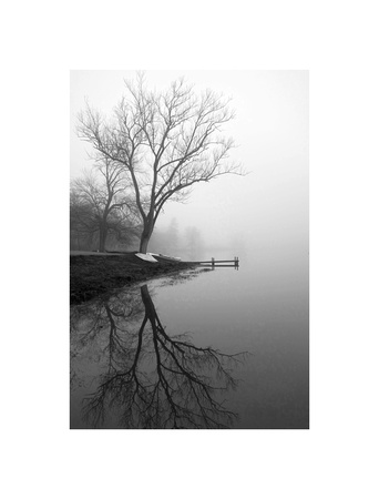 Beaver Lake Reflection