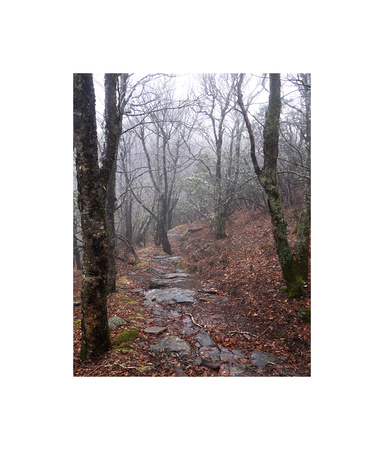 Craggy Trail