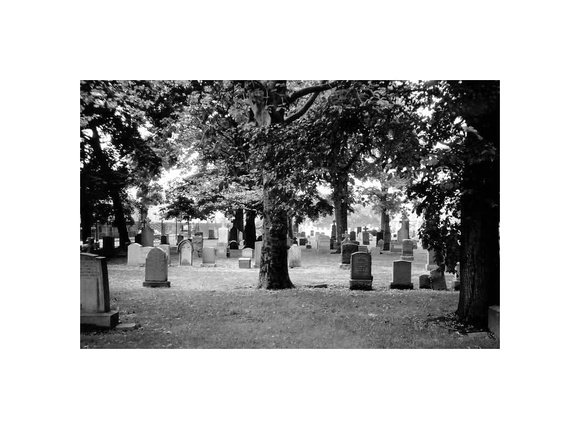 Dr. John Byrne Family Plot, Holy Cross Cemetery