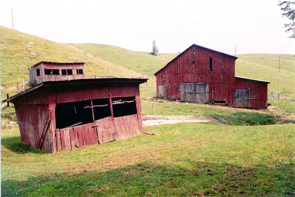 Woodshed Henhouse and Barn 2004