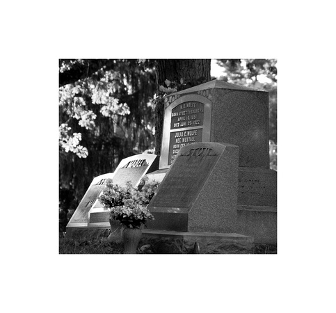 W. O. Wolfe Family Plot, Riverside Cemetery